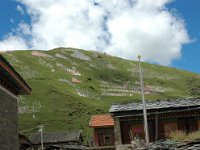 China  Tagong. Grasslands. Prayer flags dominate the mountainside sending prayers to the heavens. : Asia, China, Mountains, Tagong Grassland