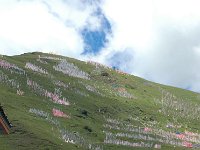 China  Tagong. Grasslands. Prayer flags dominate the mountainside sending prayers to the heavens. : Asia, China, Mountains, Tagong Grassland