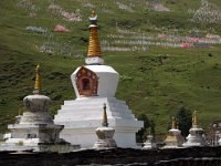 China  Tagong. Grasslands. Tagong Temple in town. Prayer flags dominate the mountainside sending prayers to the heavens. : Asia, China, Mountains, Tagong Grassland, Tagong Temple, Temple