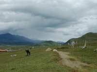 China  Tagong. Grasslands. : Asia, China, Mountains, Tagong Grassland