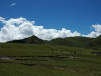 China  Tagong. Grasslands. : Asia, China, Mountains, Tagong Grassland